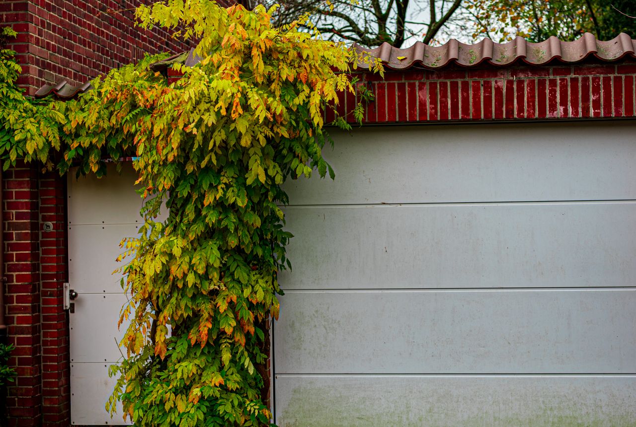 Garage door service in Elk Grove, CA